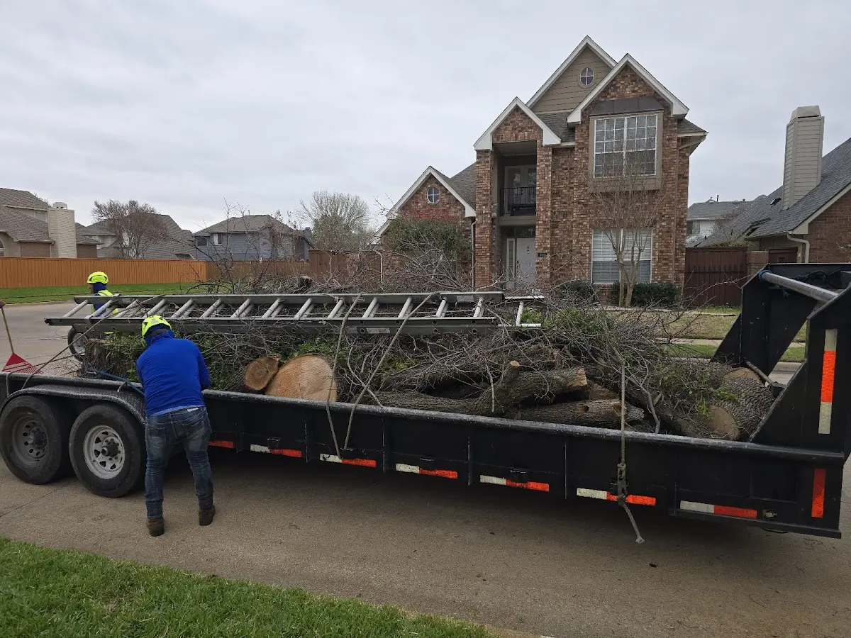 Expert Crown Reduction with proper safety equipment in Hamptonville